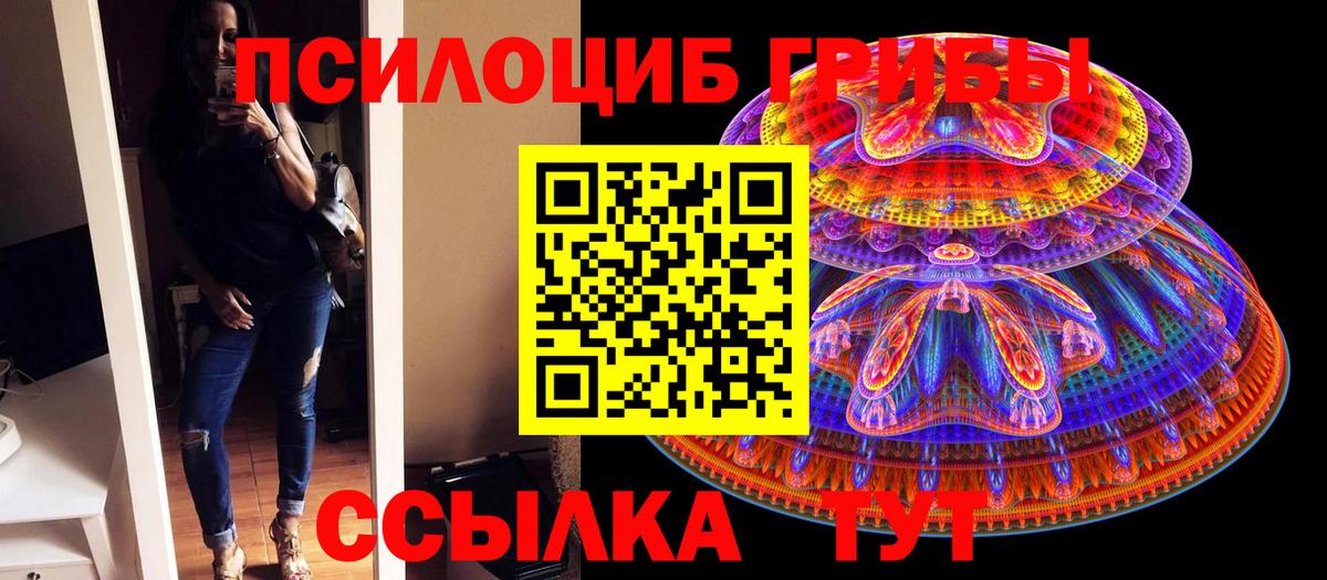 Псилоцибиновые грибы мицелий  продажа наркотиков  Вход с VPN  Свободный  Галлюциногенные грибы GOLDEN TEACHER 